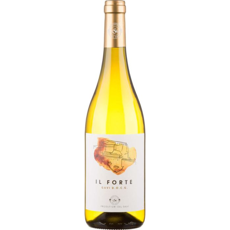 Gavi Il Forte